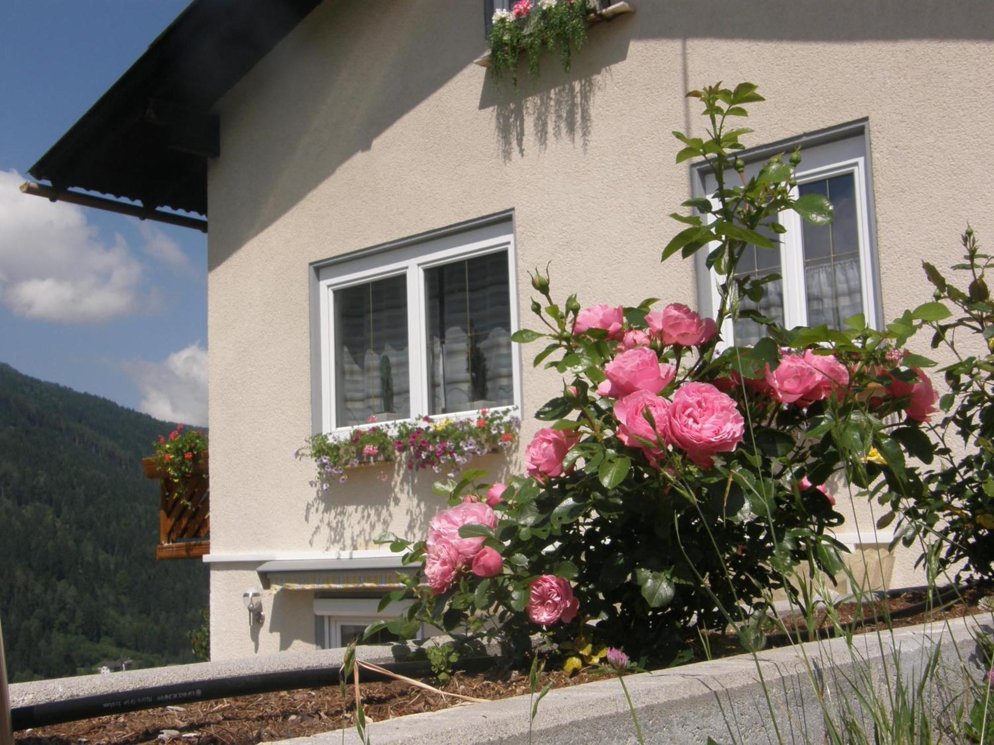 Ferienwohnung Brennseeblick Feld am See Ngoại thất bức ảnh